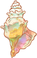 conch